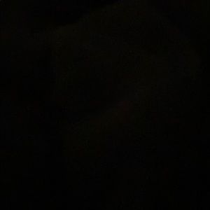 Meet your Posher, Shane